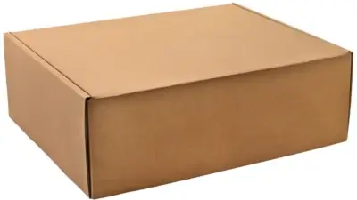 Closed rectangular brown cardboard box